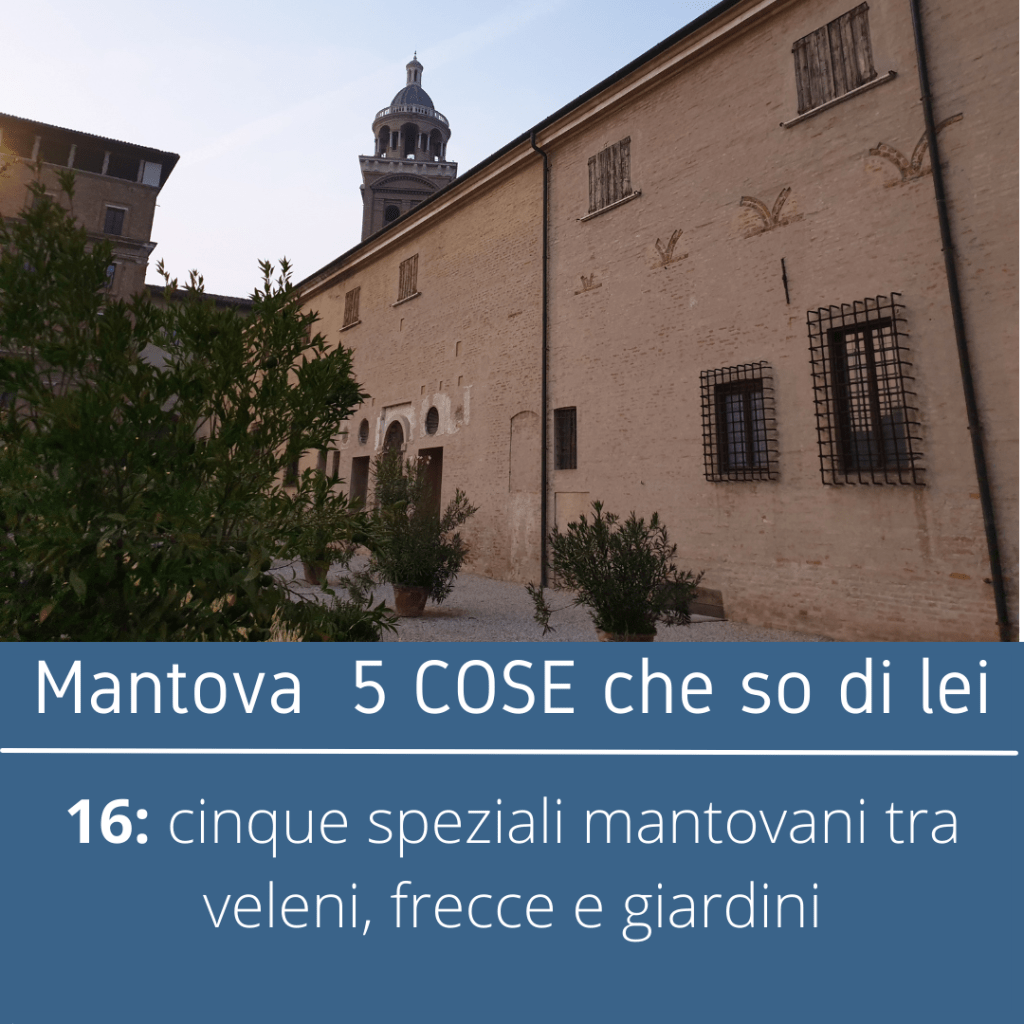 Il Giardino dei semplici con il campanile della Basilica di Santa Barbara a fare da sfondo e una delle torri della Domus Nova